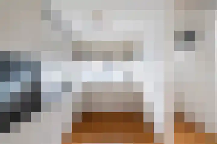 Neeltje Griffijnstraat 22 Rotterdam thumbnail 6