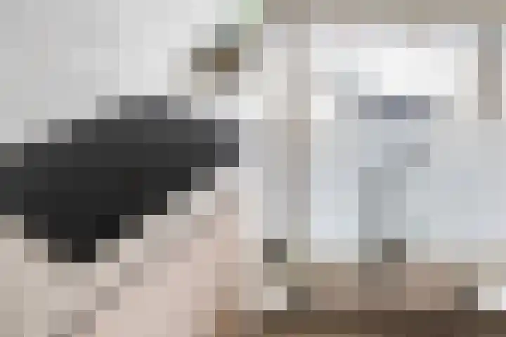 Neeltje Griffijnstraat 22 Rotterdam thumbnail 9