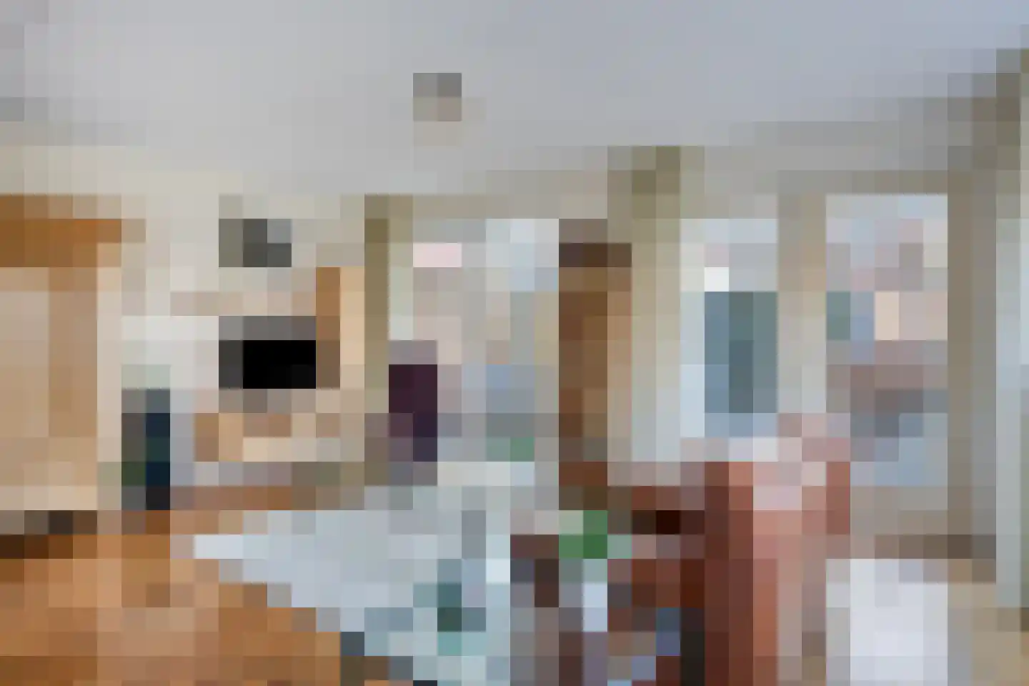 Neeltje Lokerseland 14 Heerhugowaard thumbnail 17
