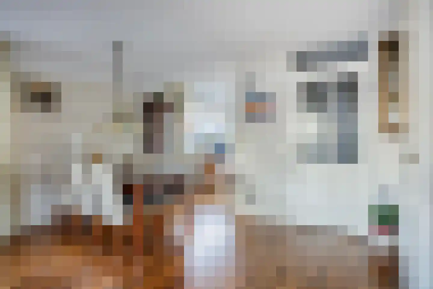 Neeltje Lokerseland 14 Heerhugowaard thumbnail 21