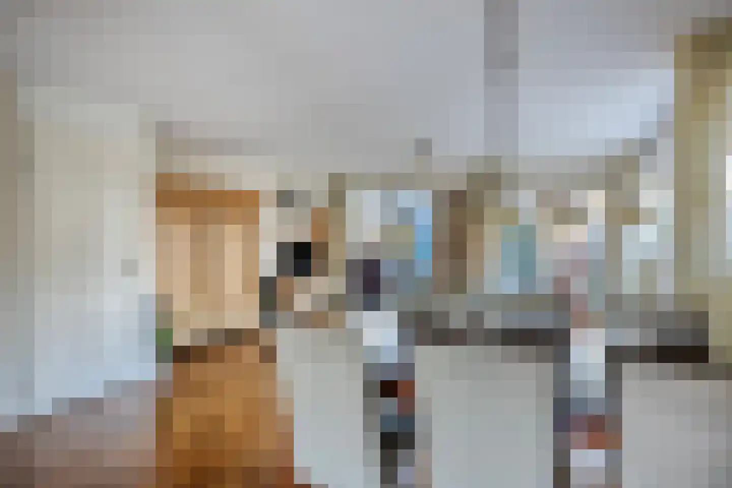 Neeltje Lokerseland 14 Heerhugowaard thumbnail 24