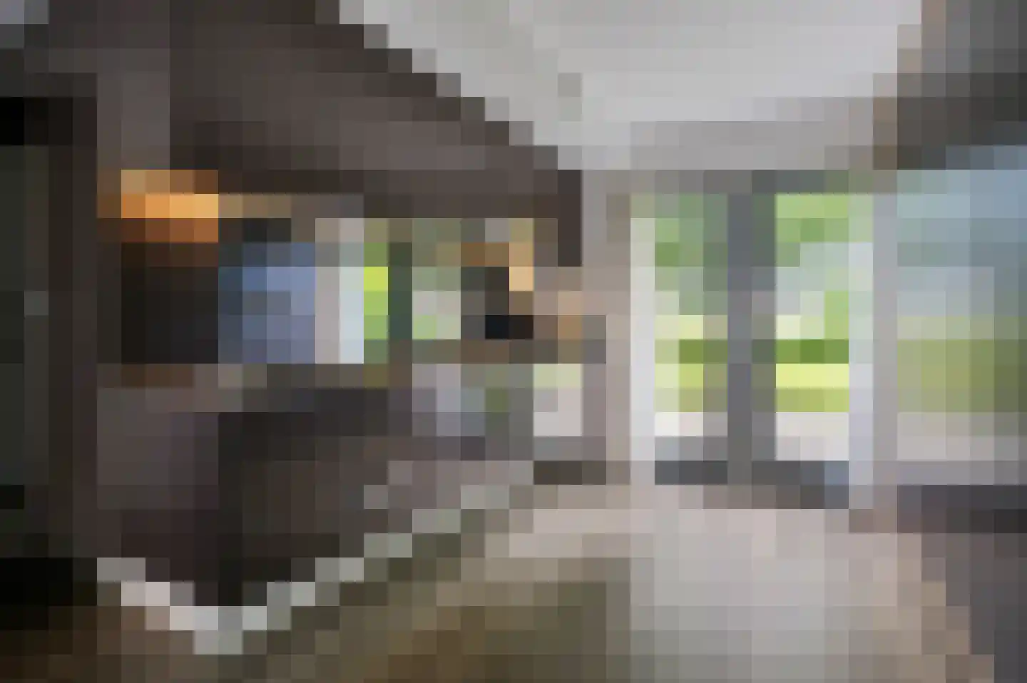 Neeltje Lokerseland 16 Heerhugowaard thumbnail 13