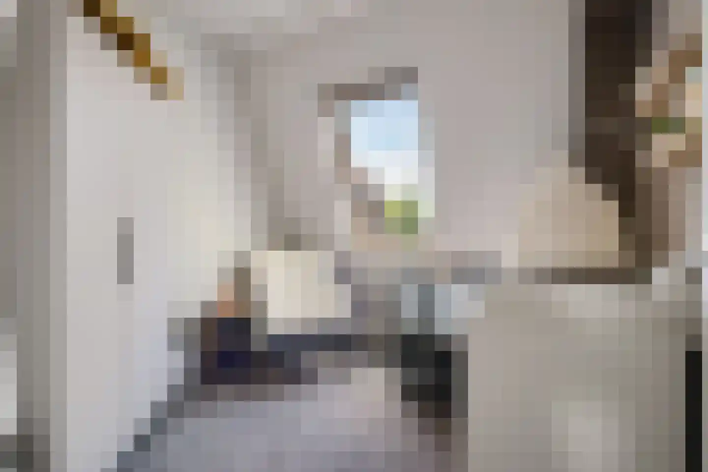 Neeltje Lokerseland 16 Heerhugowaard thumbnail 26