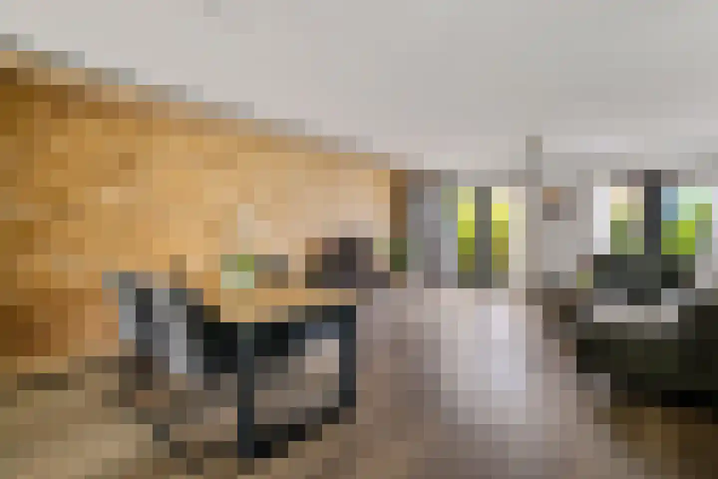 Neeltje Lokerseland 16 Heerhugowaard thumbnail 5