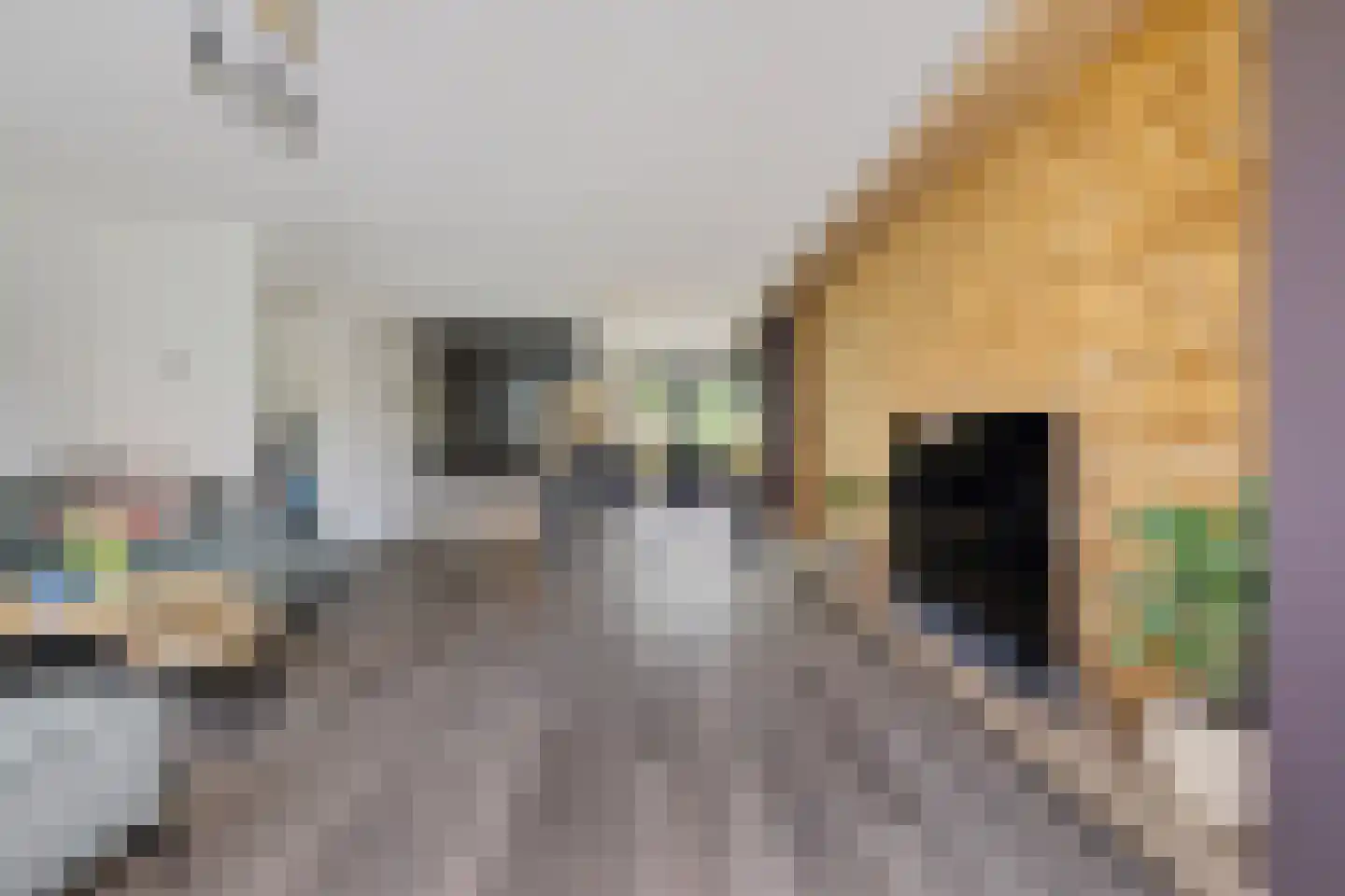 Neeltje Lokerseland 16 Heerhugowaard thumbnail 8