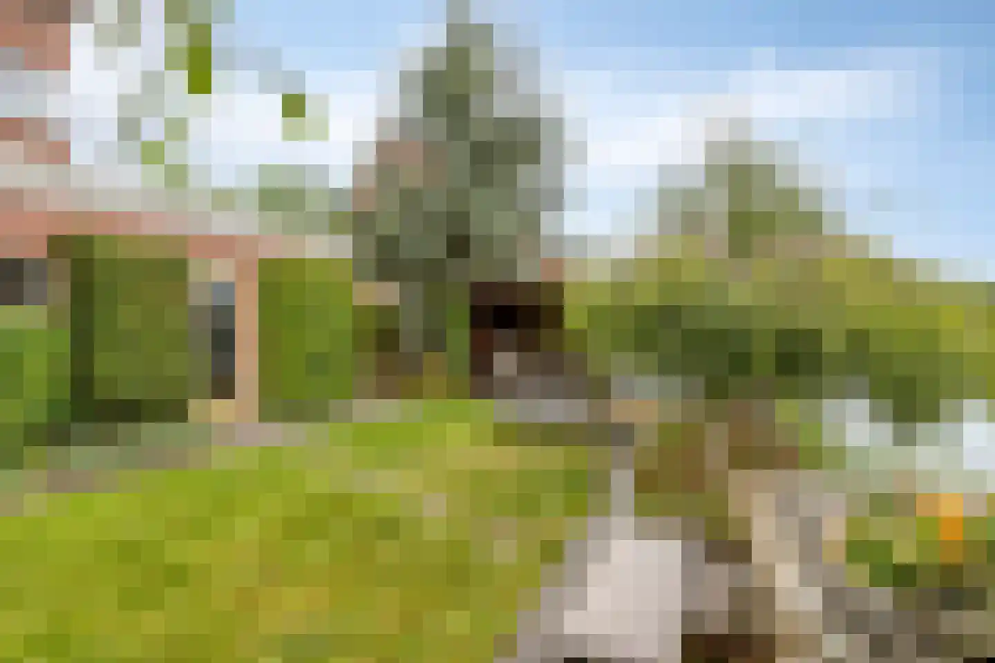 Neeltje Lokerseland 40 Heerhugowaard thumbnail 34