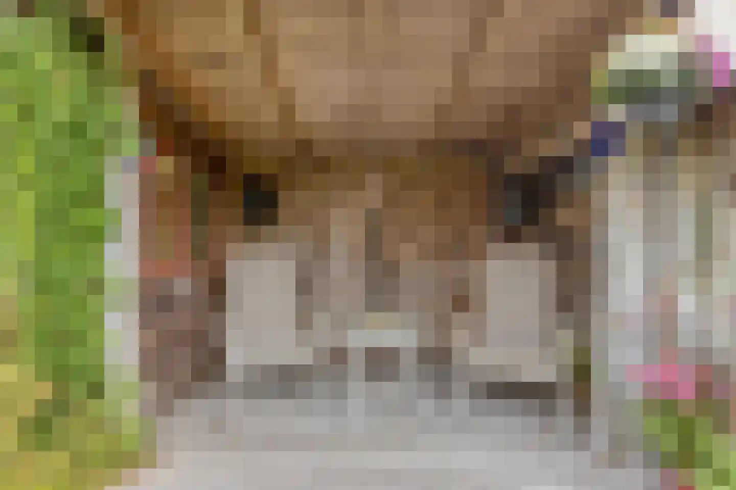 Neeltje Lokerseland 40 Heerhugowaard thumbnail 35