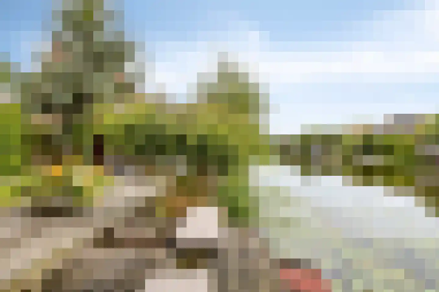 Neeltje Lokerseland 40 Heerhugowaard thumbnail 36