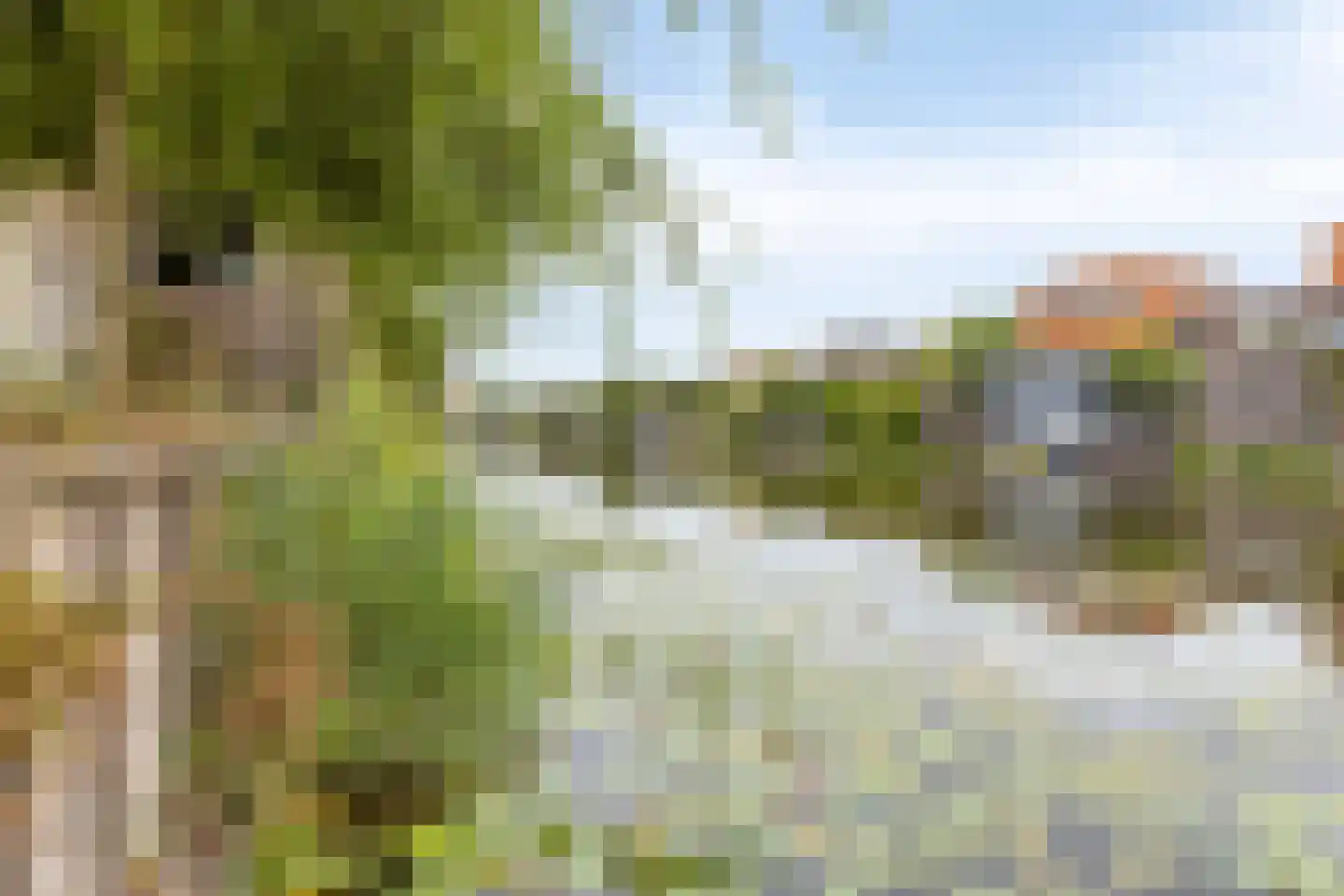 Neeltje Lokerseland 40 Heerhugowaard thumbnail 37