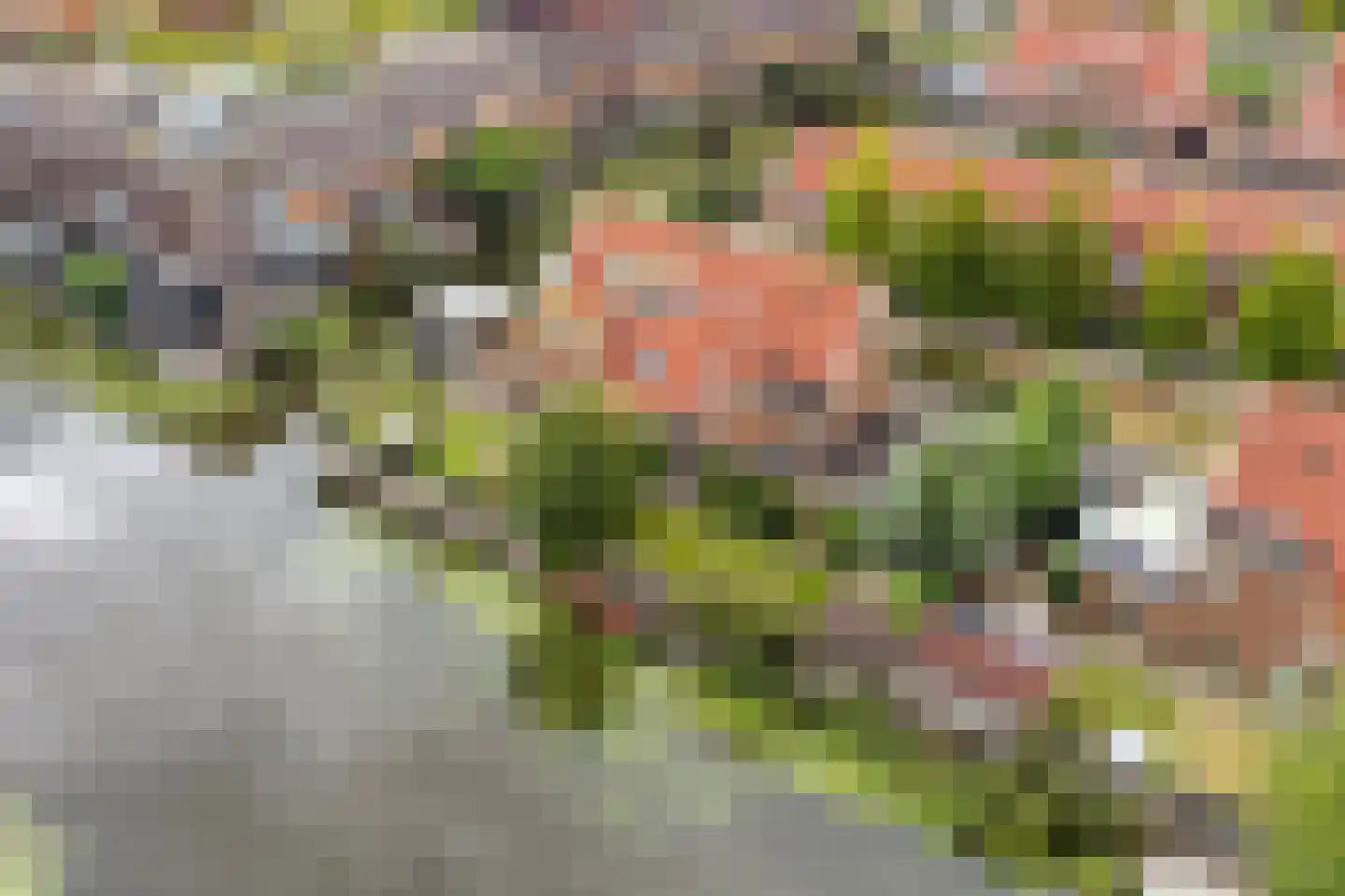 Neeltje Lokerseland 40 Heerhugowaard thumbnail 42