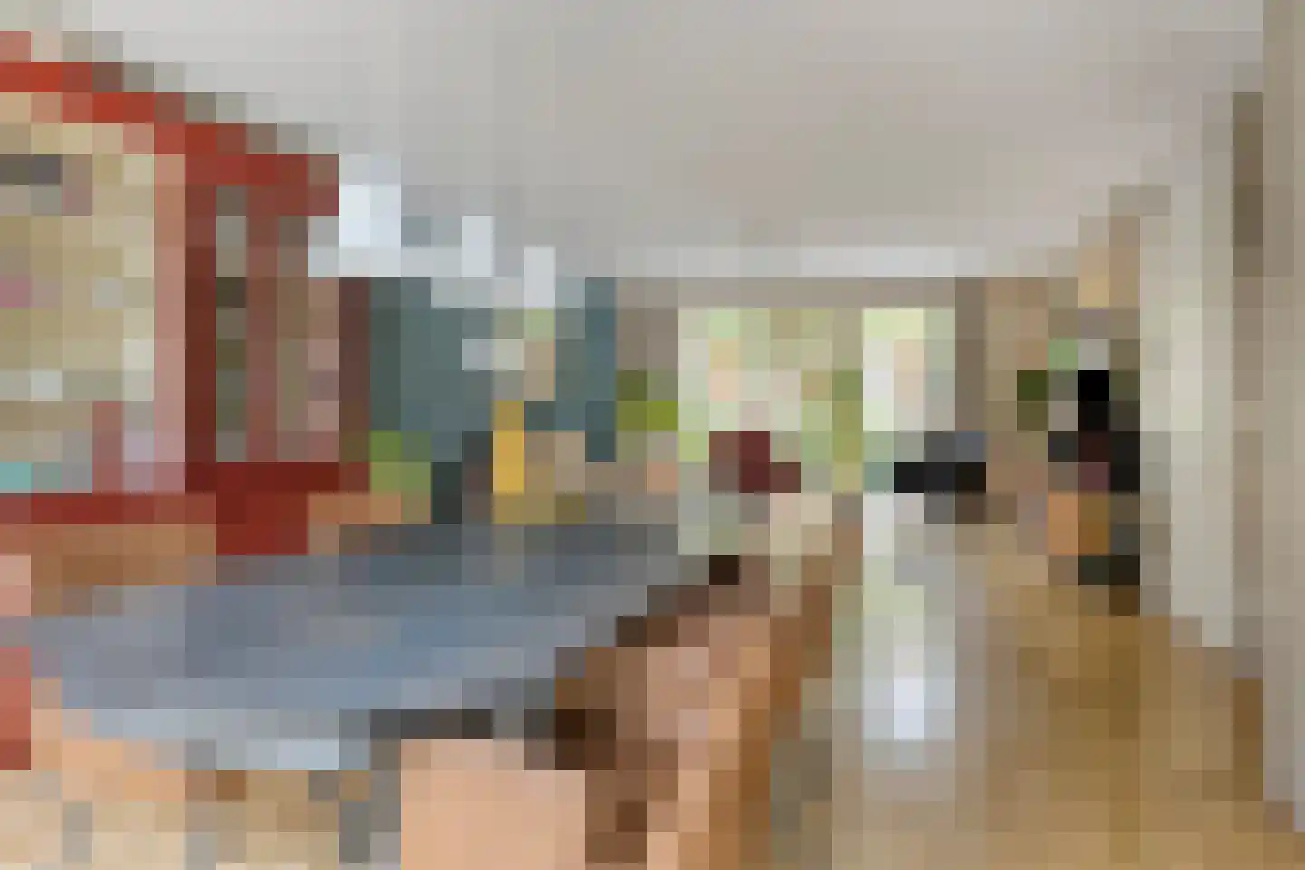 Neeltje Lokerseland 40 Heerhugowaard thumbnail 7