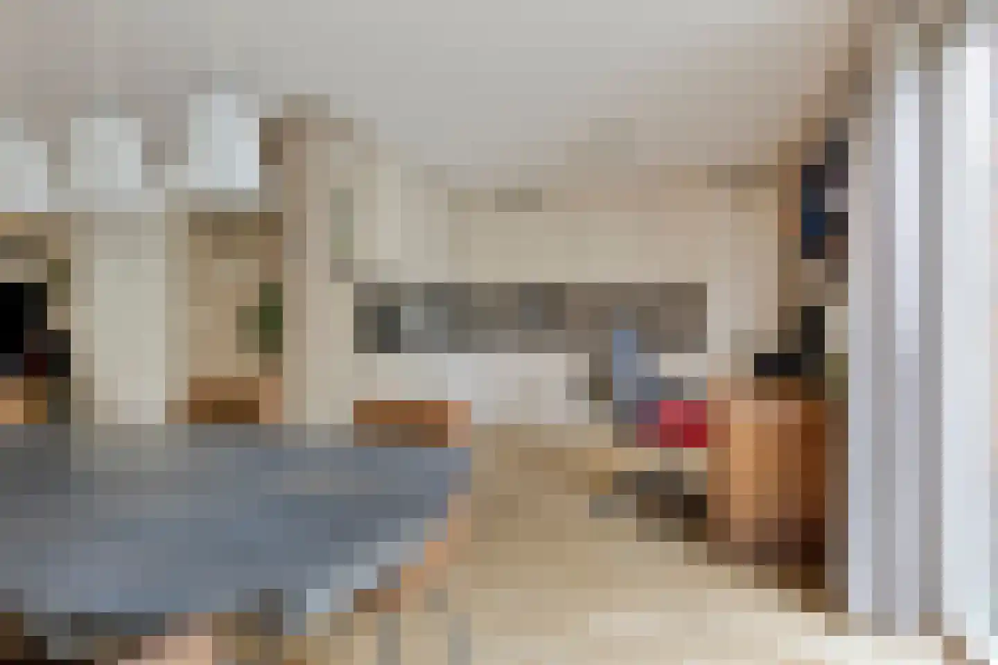 Neeltje Lokerseland 40 Heerhugowaard thumbnail 8