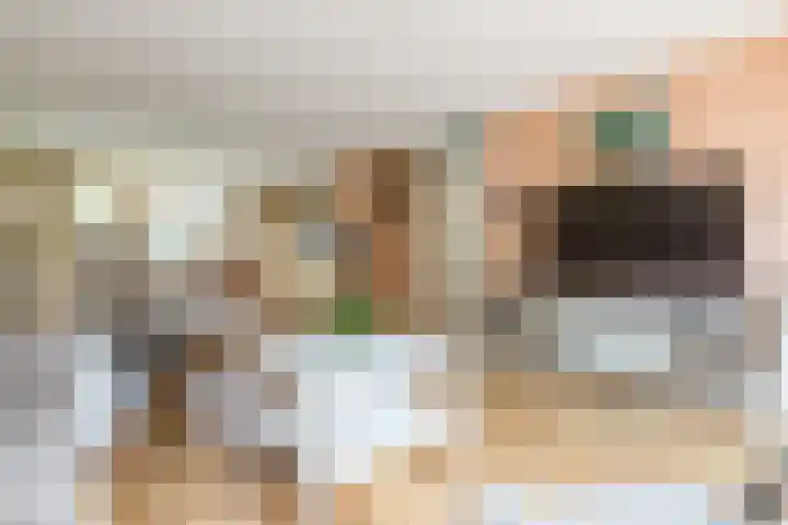 Neeltje Lokerseland 42 Heerhugowaard thumbnail 14