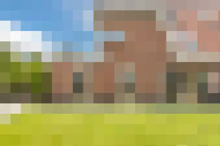 Neeltje Lokerseland 42 Heerhugowaard thumbnail 30