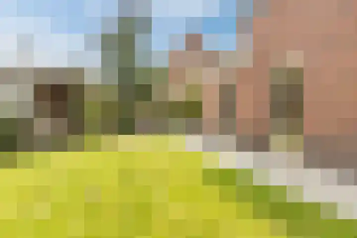 Neeltje Lokerseland 42 Heerhugowaard thumbnail 31