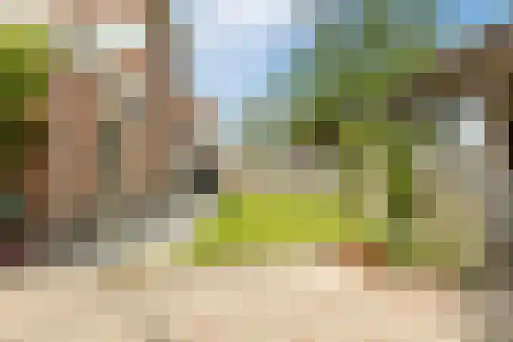 Neeltje Lokerseland 42 Heerhugowaard thumbnail 33