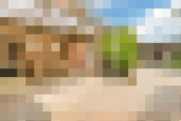 Neeltje Lokerseland 42 Heerhugowaard thumbnail 34