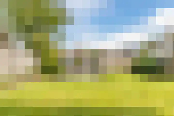 Neeltje Lokerseland 42 Heerhugowaard thumbnail 36