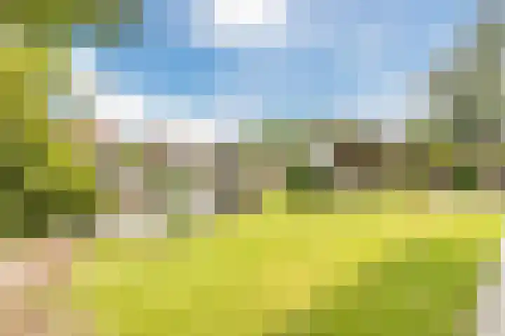 Neeltje Lokerseland 42 Heerhugowaard thumbnail 37