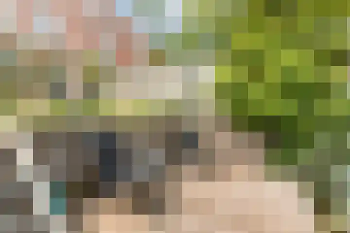 Neeltje Lokerseland 42 Heerhugowaard thumbnail 38