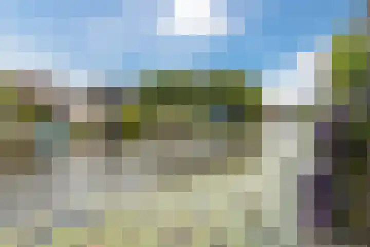 Neeltje Lokerseland 42 Heerhugowaard thumbnail 39