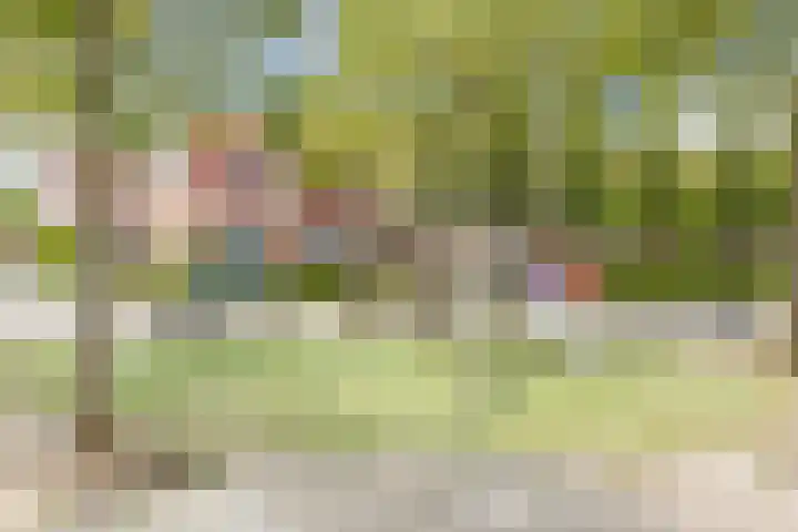 Neeltje Lokerseland 42 Heerhugowaard thumbnail 40