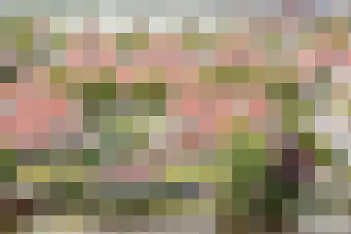 Neeltje Lokerseland 42 Heerhugowaard thumbnail 42