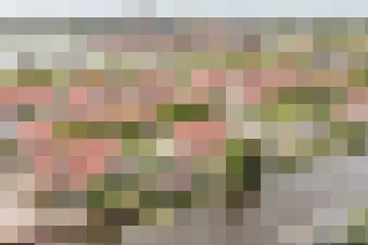 Neeltje Lokerseland 42 Heerhugowaard thumbnail 43