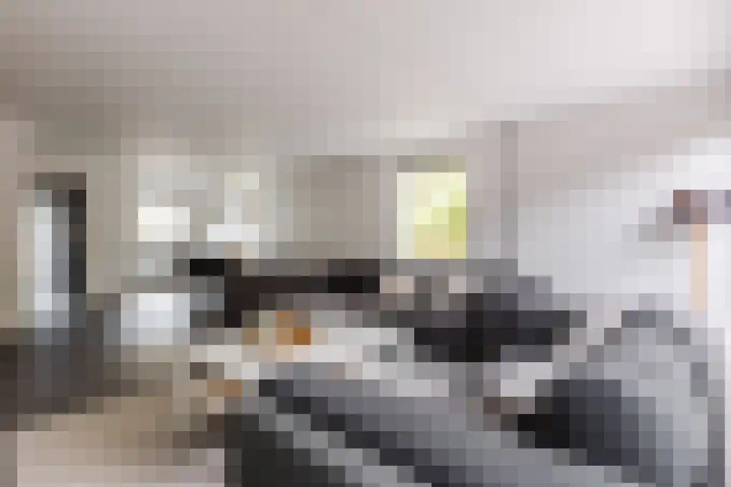 Neeltje Snijdershof 26 Wijk aan Zee thumbnail 12