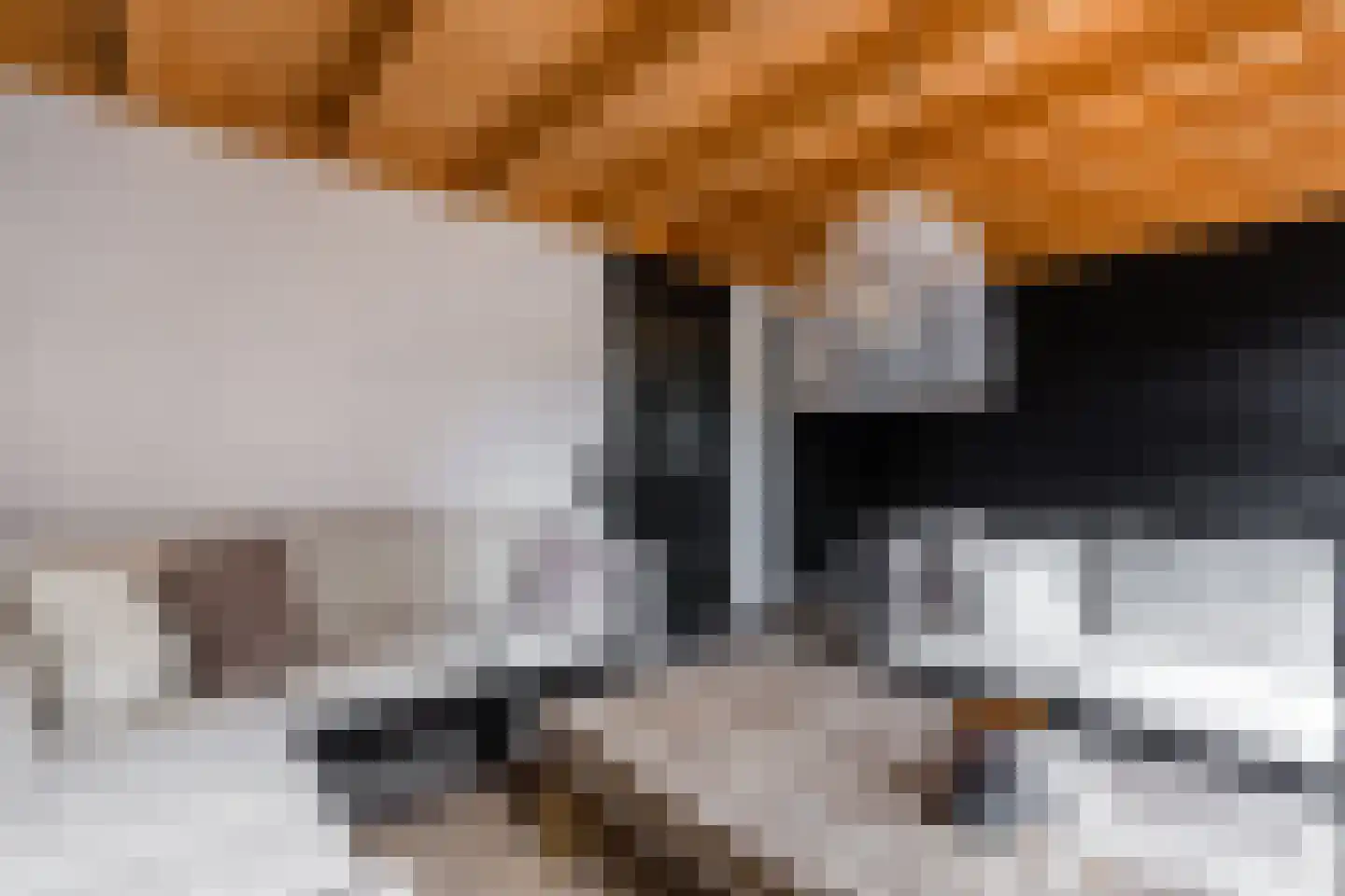 Neeltje Snijdershof 26 Wijk aan Zee thumbnail 28