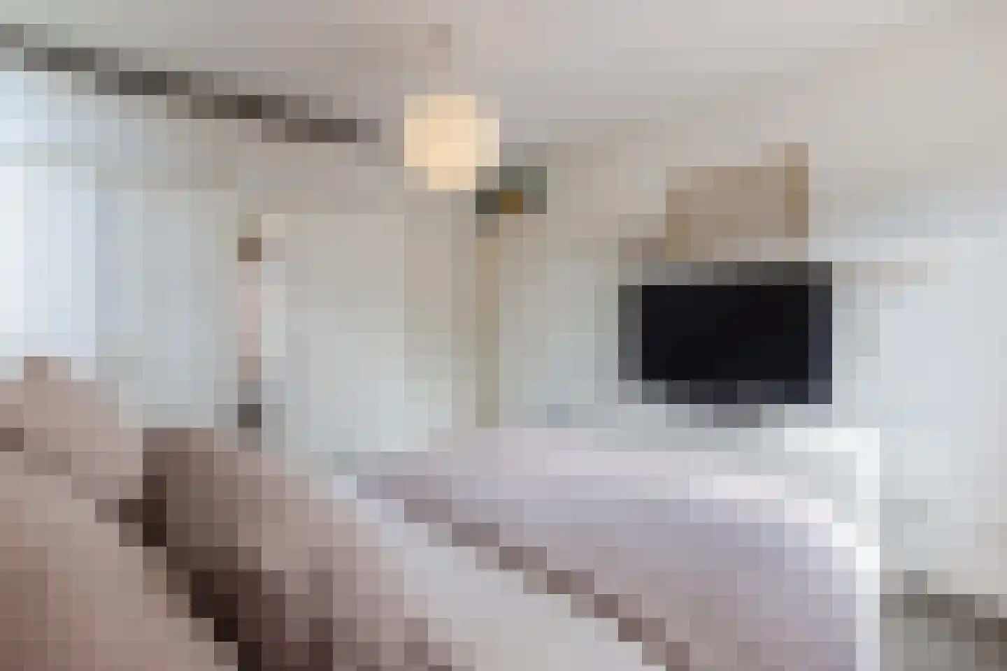 Neeltje Snijdershof 26 Wijk aan Zee thumbnail 33