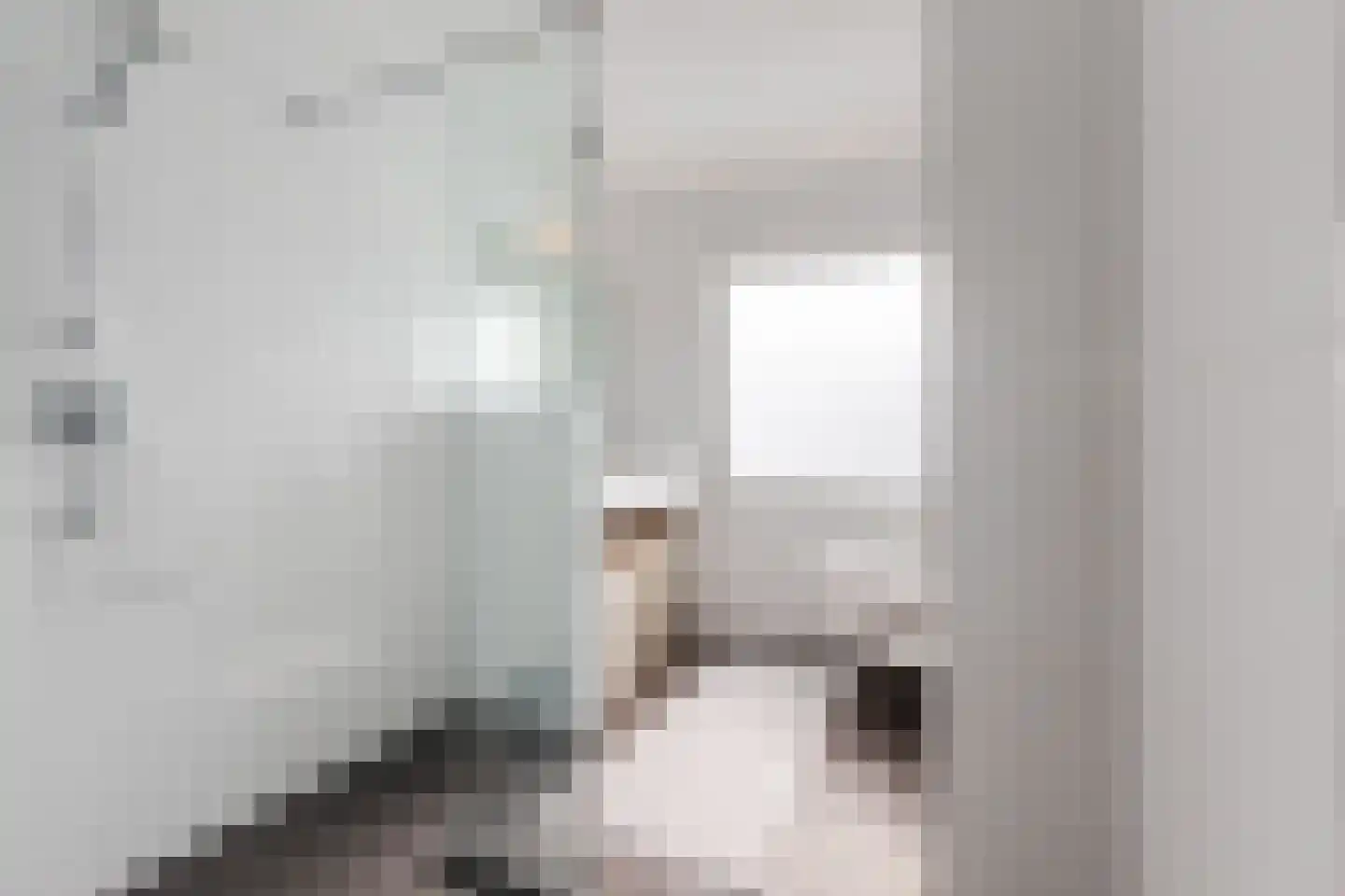 Neeltje Snijdershof 26 Wijk aan Zee thumbnail 38