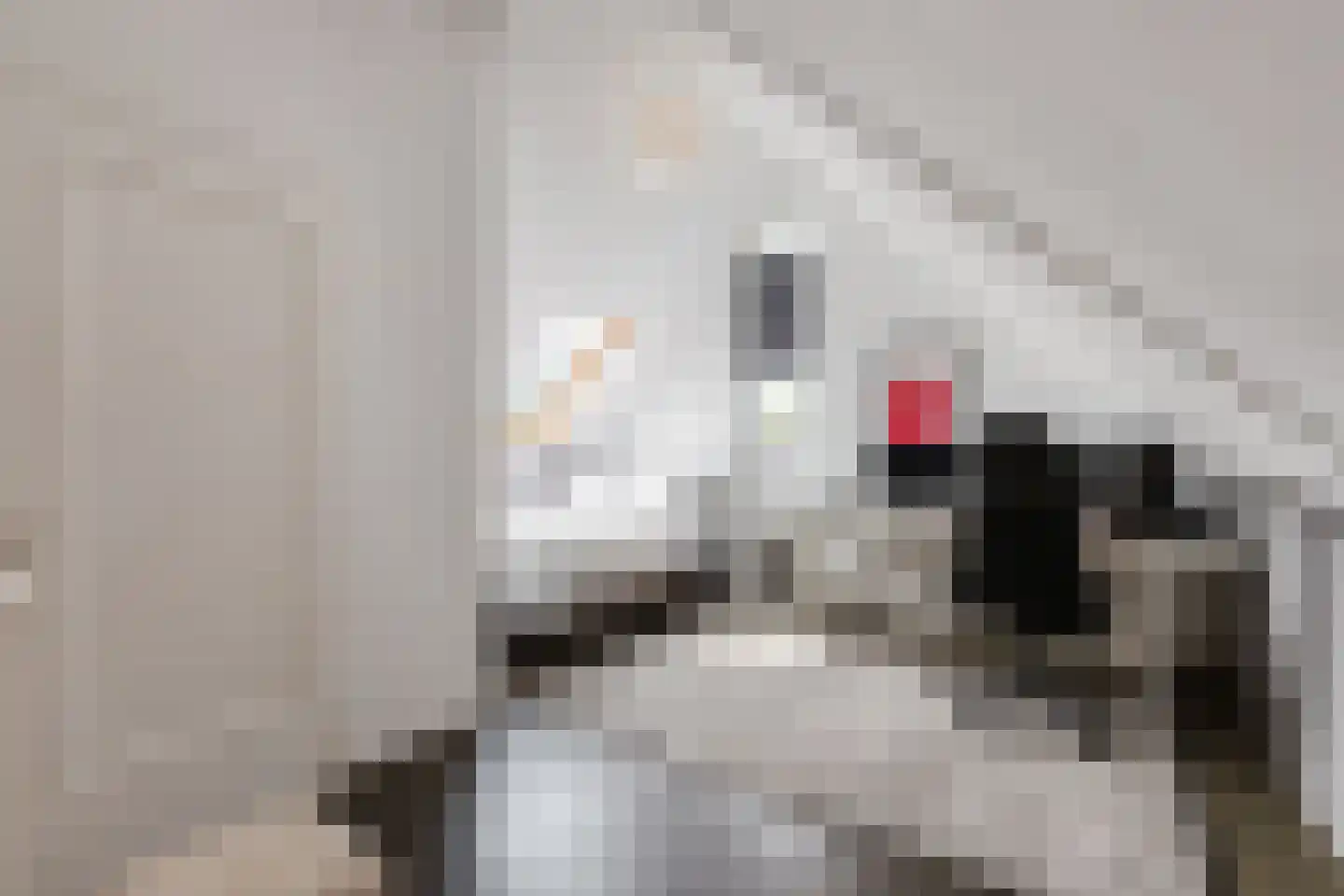 Neeltje Snijdershof 26 Wijk aan Zee thumbnail 41
