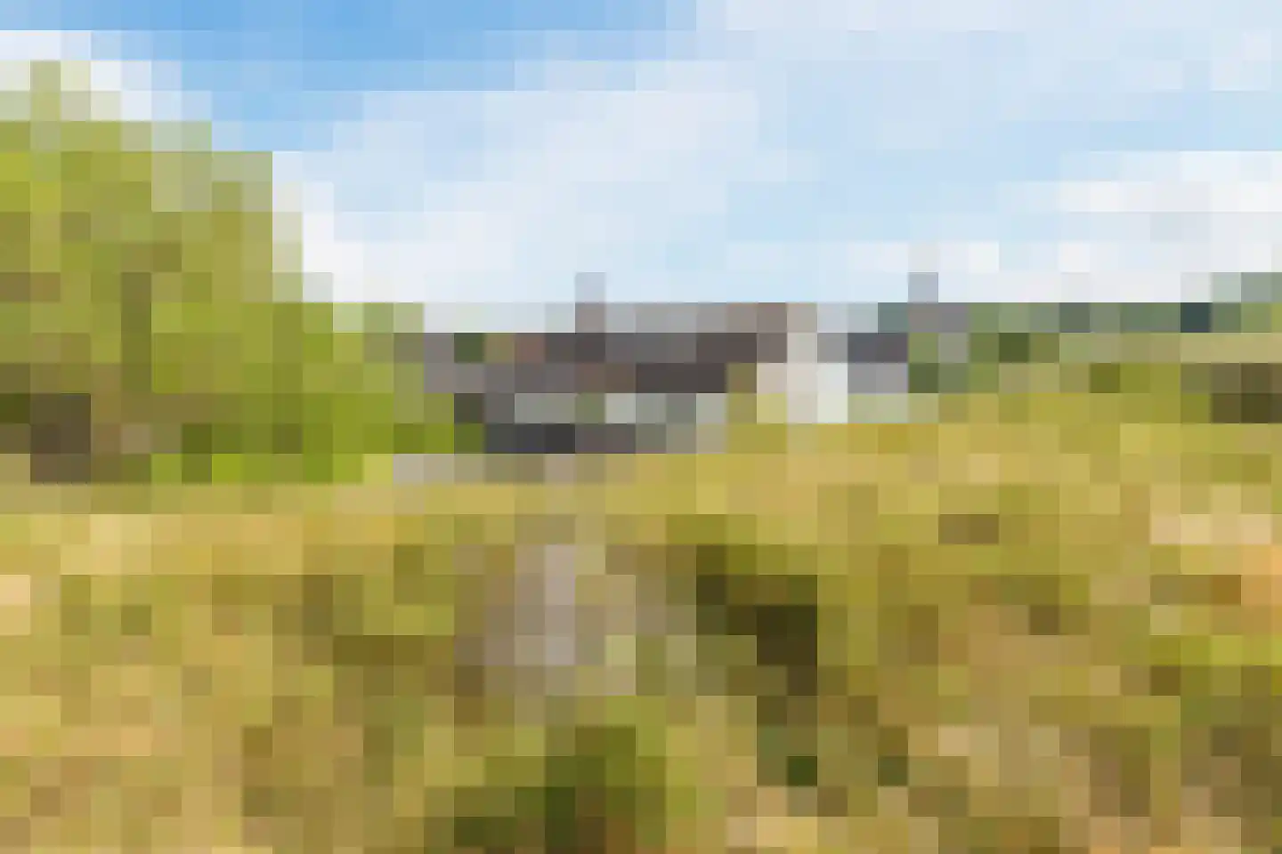 Neeltje Snijdershof 26 Wijk aan Zee thumbnail 49