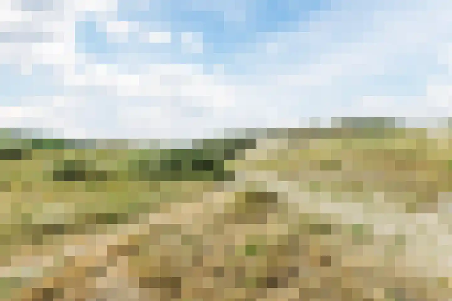 Neeltje Snijdershof 26 Wijk aan Zee thumbnail 50