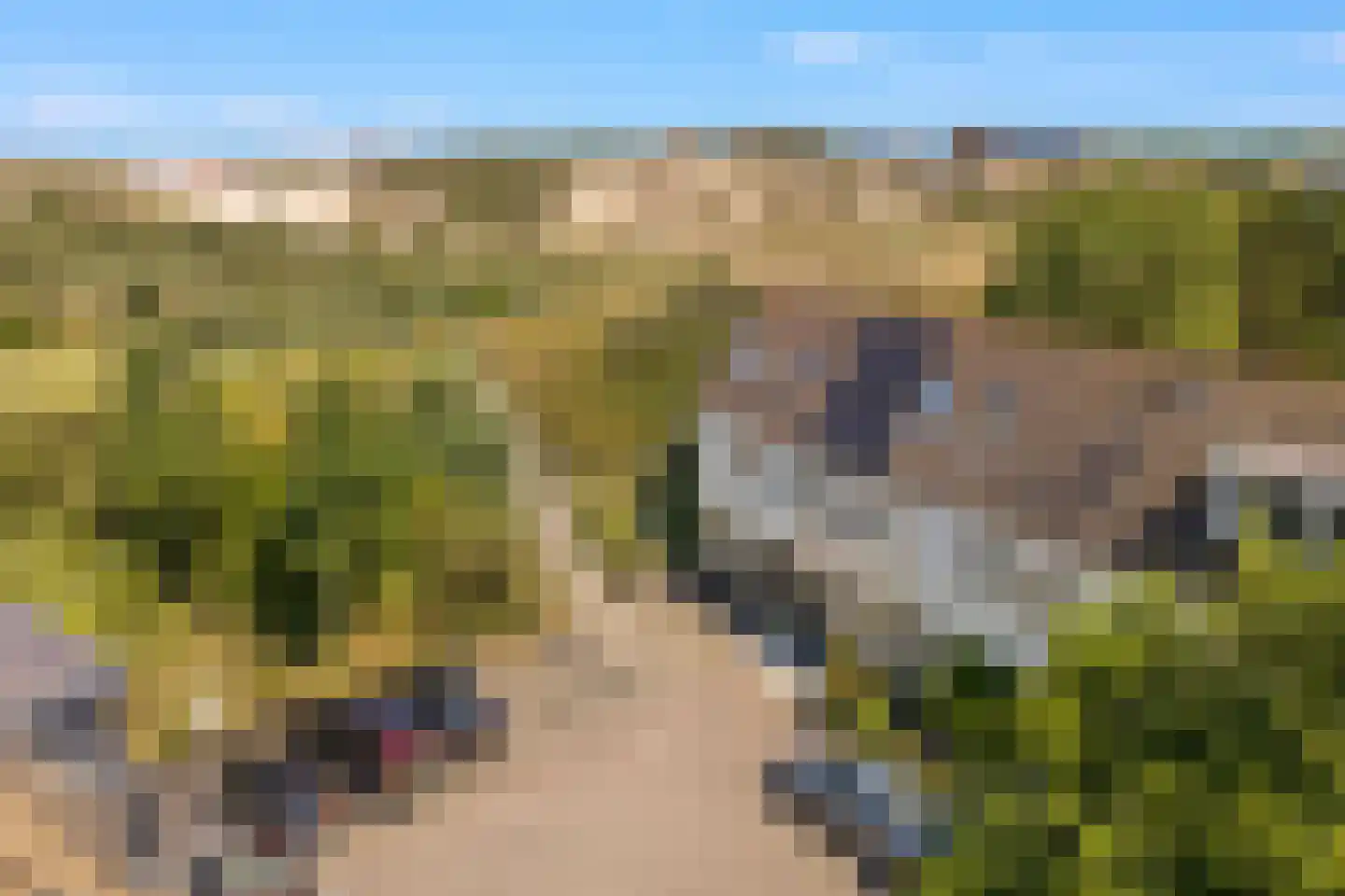 Neeltje Snijdershof 26 Wijk aan Zee thumbnail 62