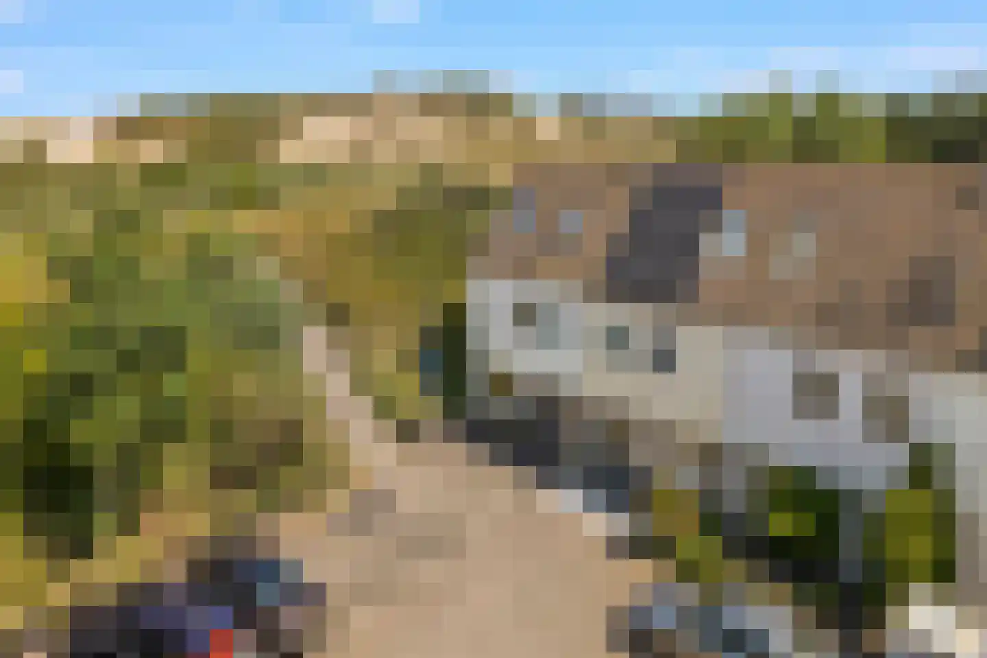 Neeltje Snijdershof 26 Wijk aan Zee thumbnail 63