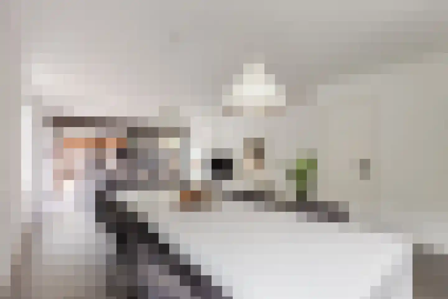 Neeltje Snijdershof 26 Wijk aan Zee thumbnail 7