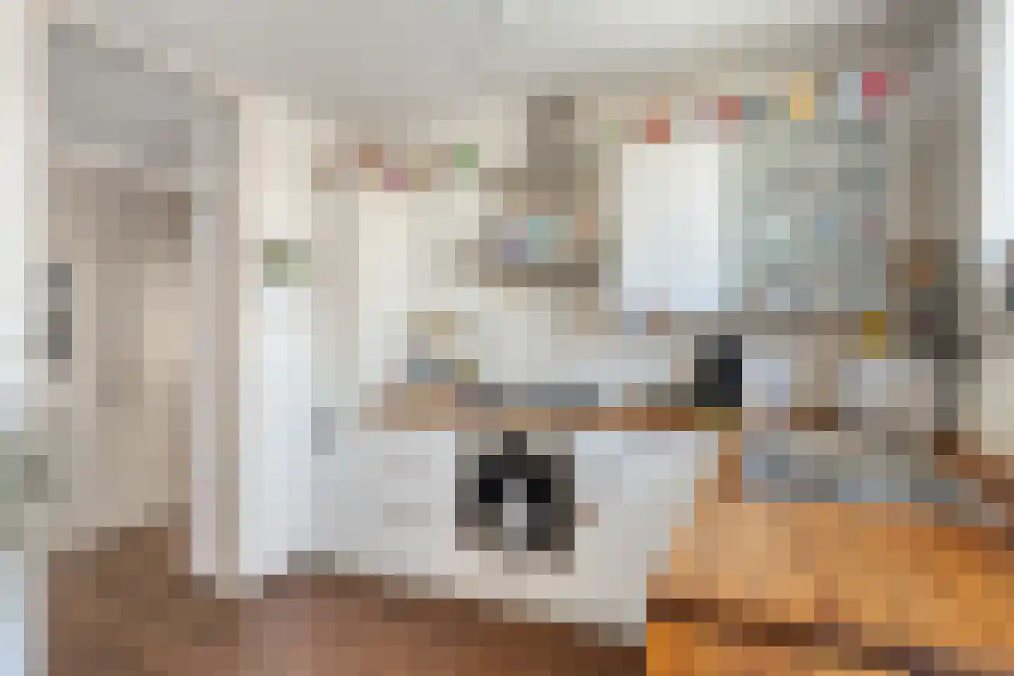 Neeltje van Zuytbrouckhof 24 Leiden thumbnail 20
