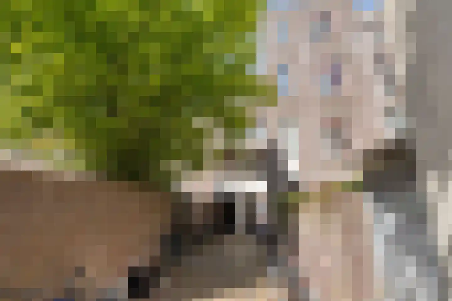 Neeltje van Zuytbrouckhof 24 Leiden thumbnail 26