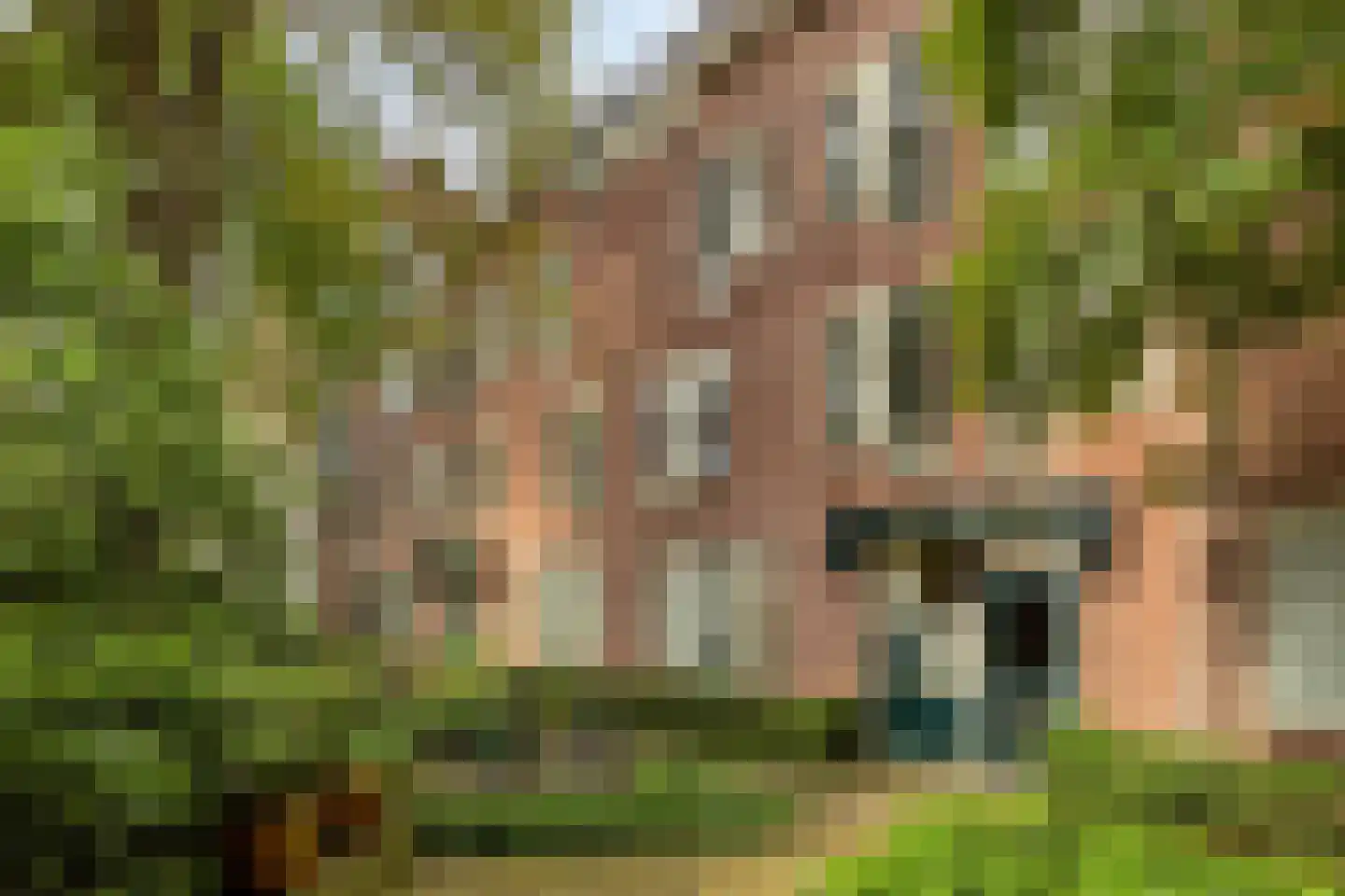 Neeltje van Zuytbrouckhof 29 in Leiden