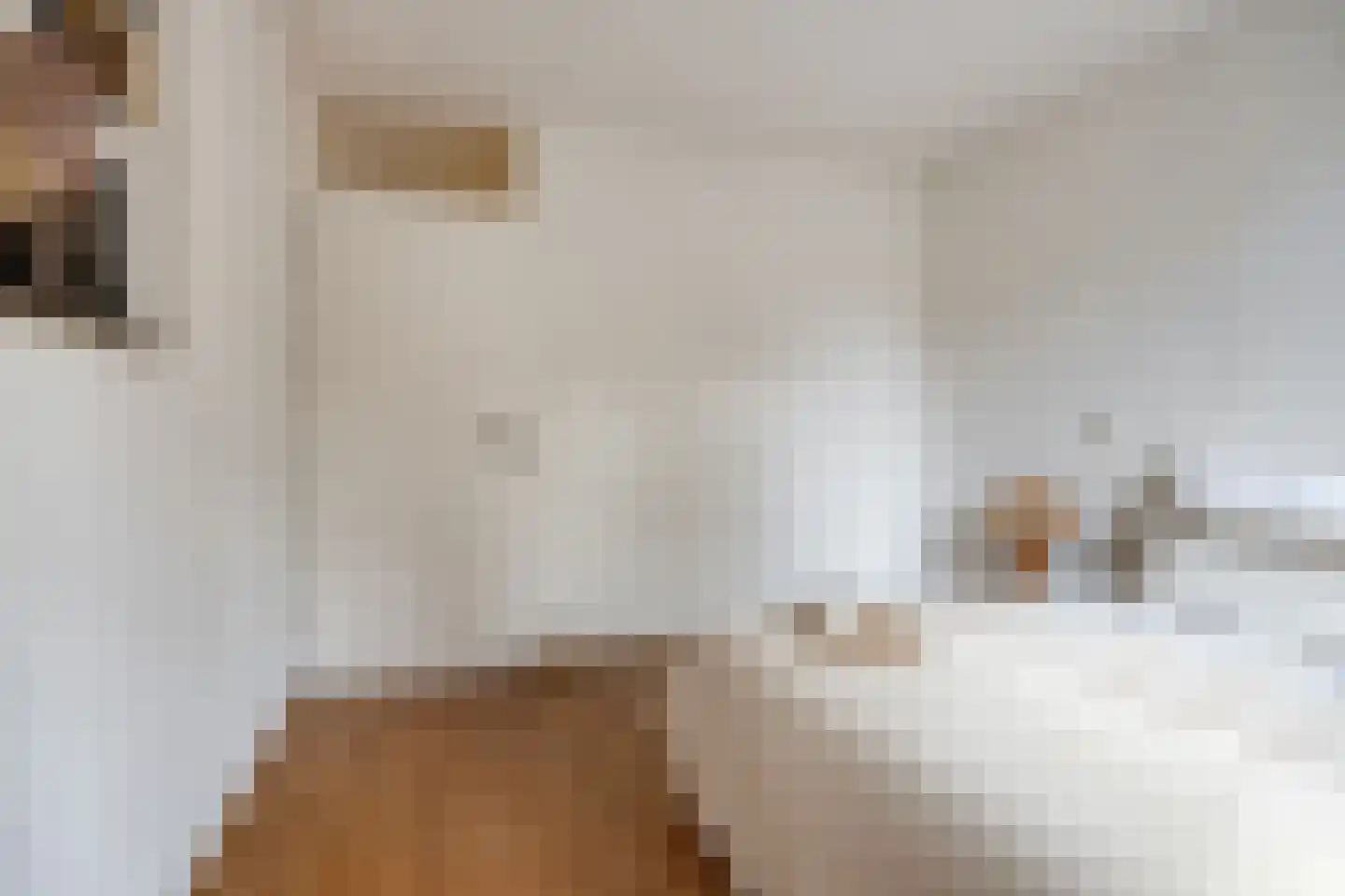 Neeltje van Zuytbrouckhof 29 Leiden thumbnail 11