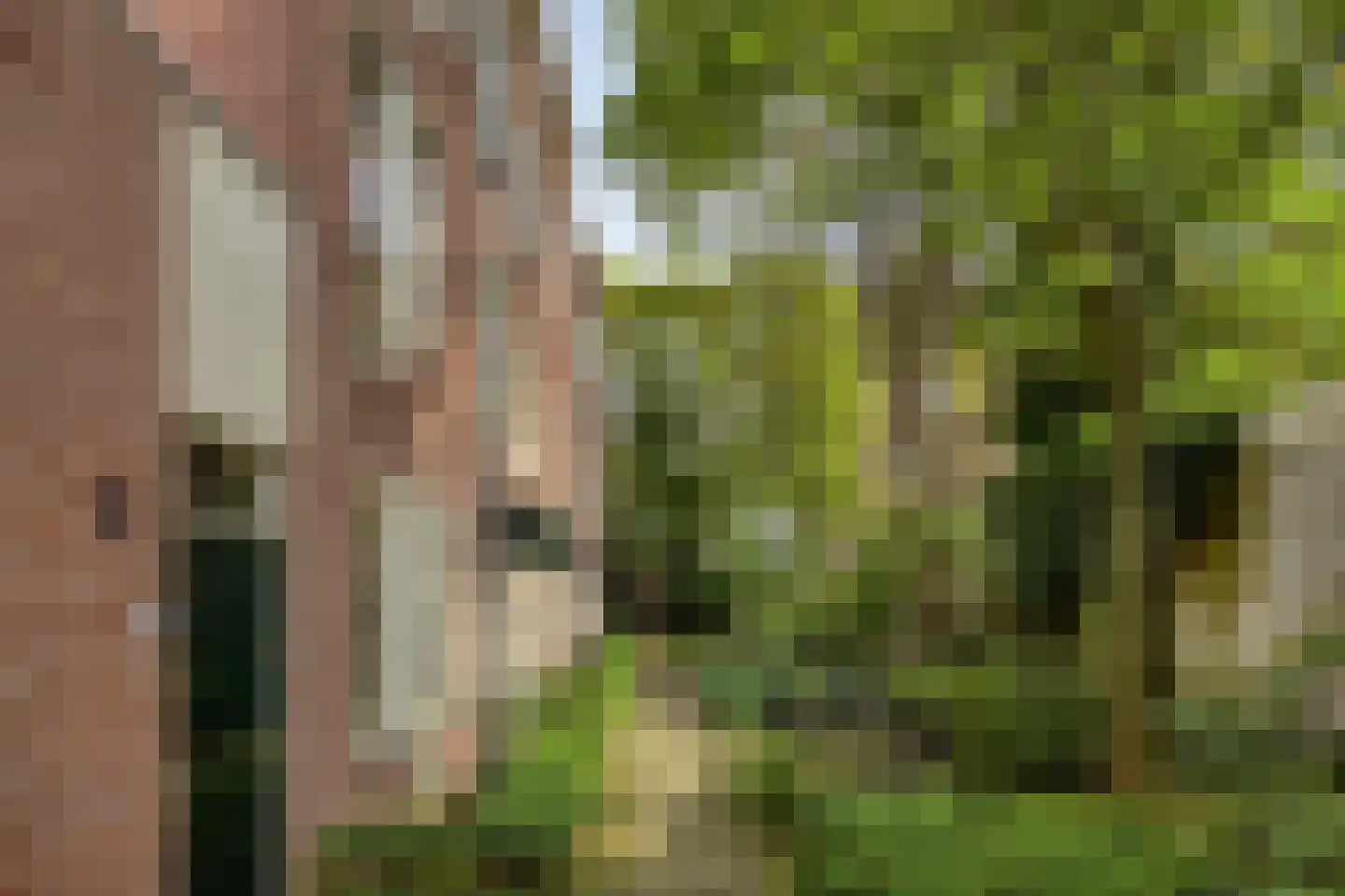 Neeltje van Zuytbrouckhof 29 Leiden thumbnail 27