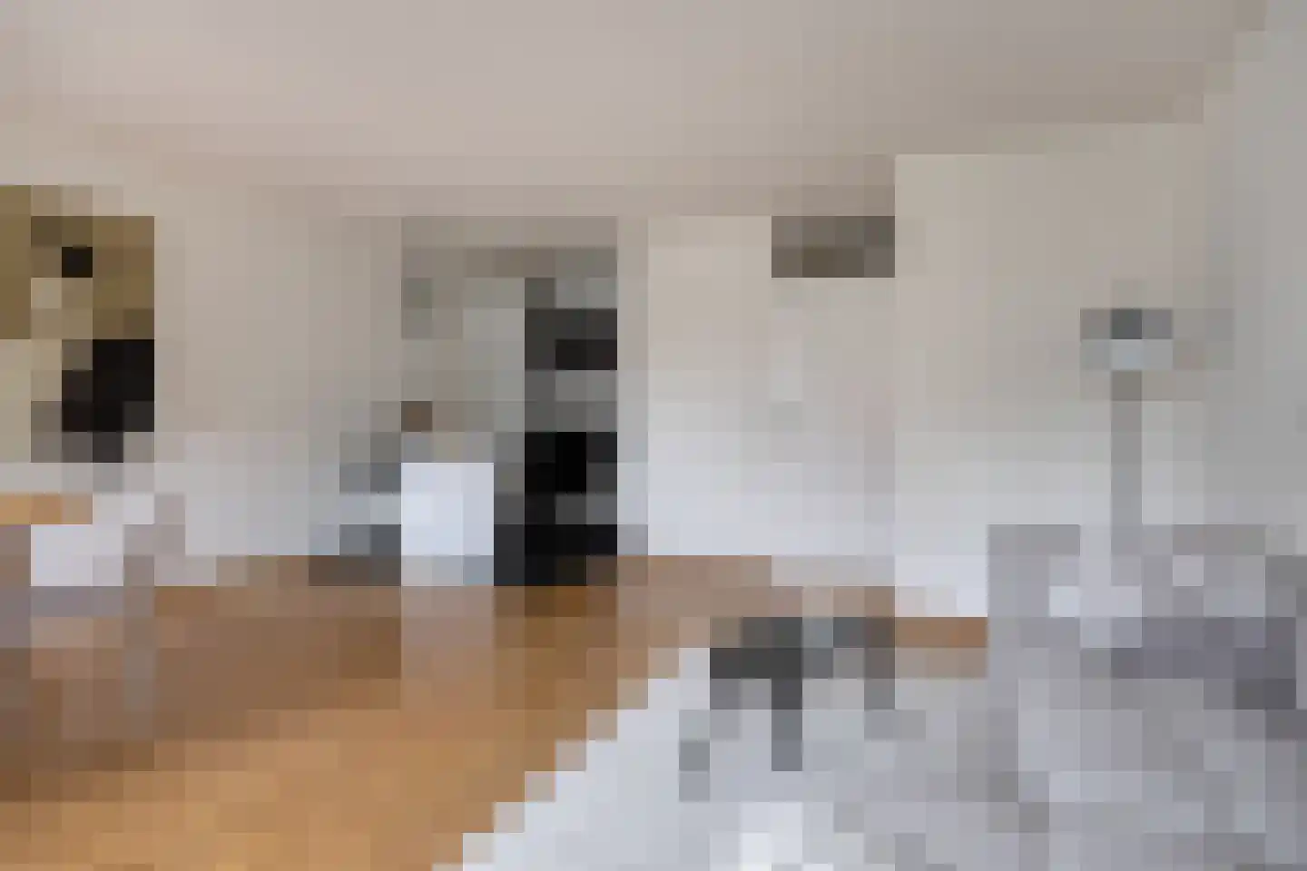 Neeltje van Zuytbrouckhof 29 Leiden thumbnail 5