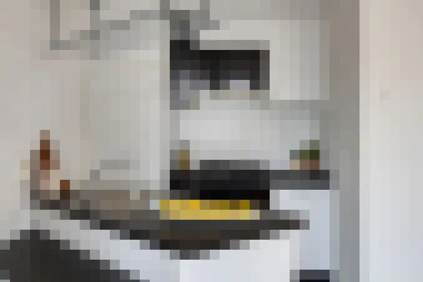 Neeltje van Zuytbrouckhof 29 Leiden thumbnail 7