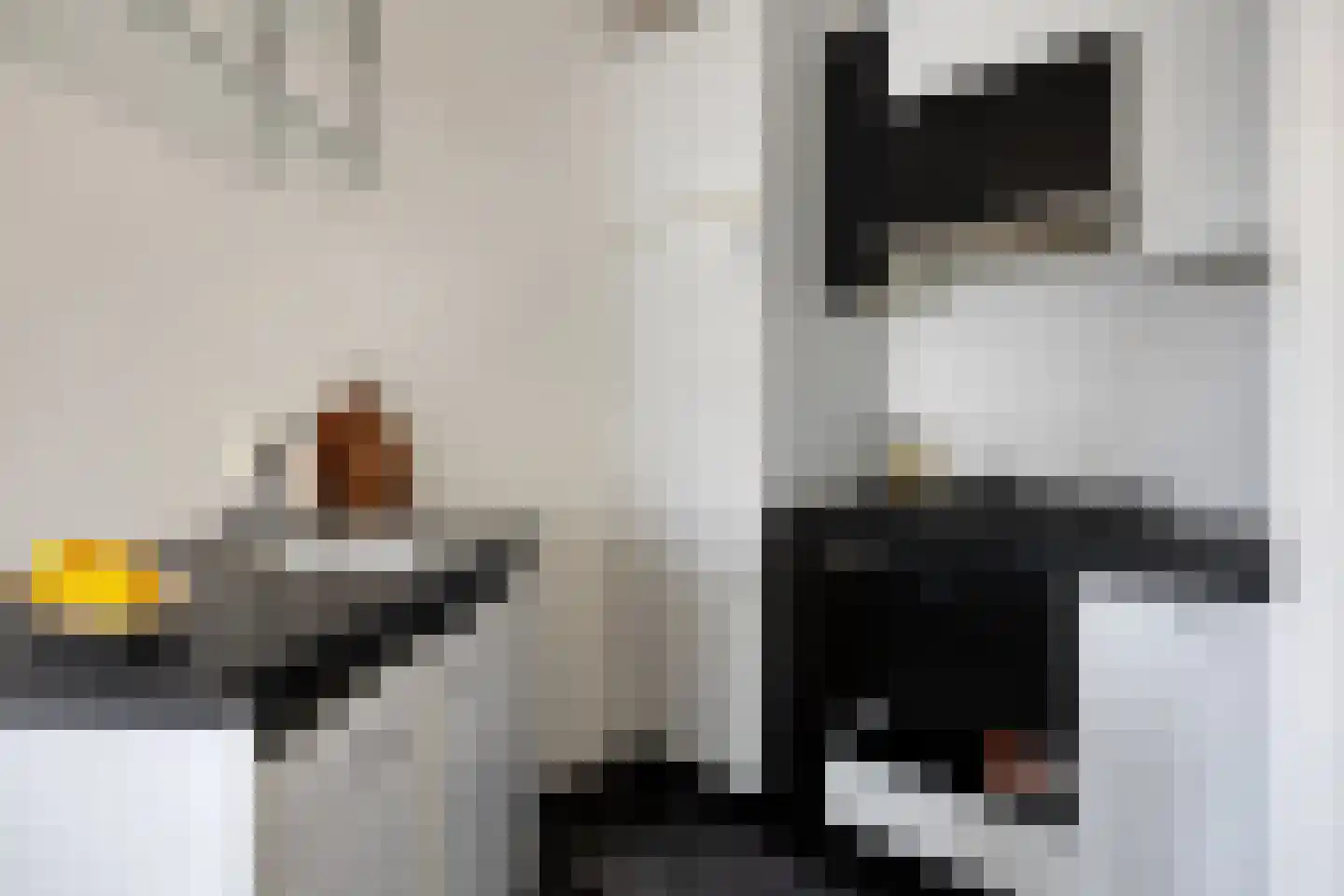Neeltje van Zuytbrouckhof 29 Leiden thumbnail 8