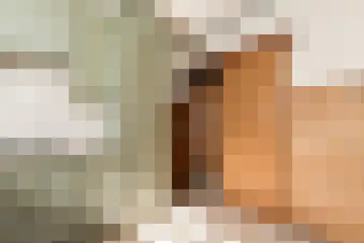 Neer Andelse weg 3 Andel thumbnail 19