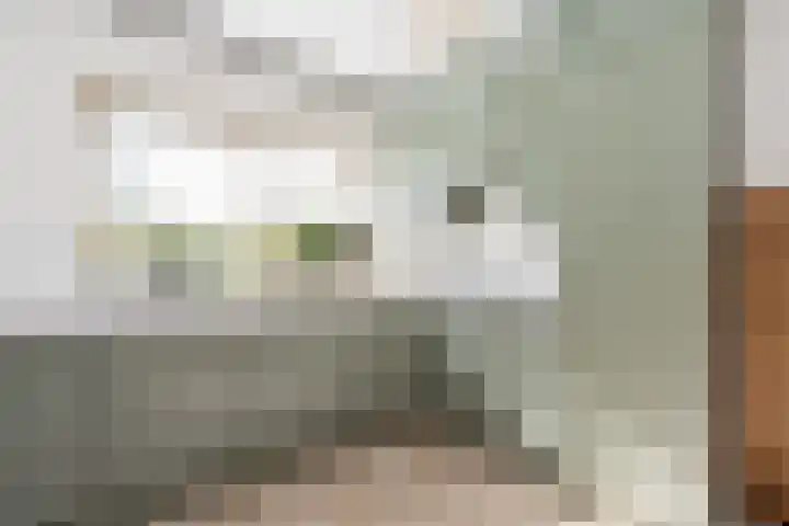 Neer Andelse weg 3 Andel foto 2