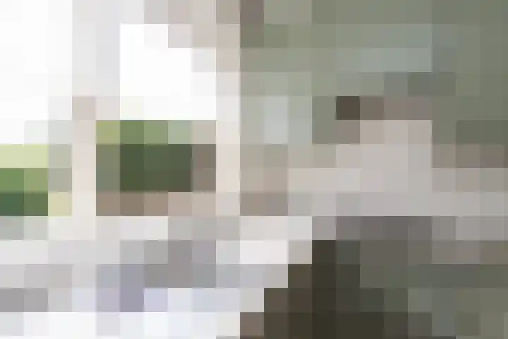 Neer Andelse weg 3 Andel thumbnail 20