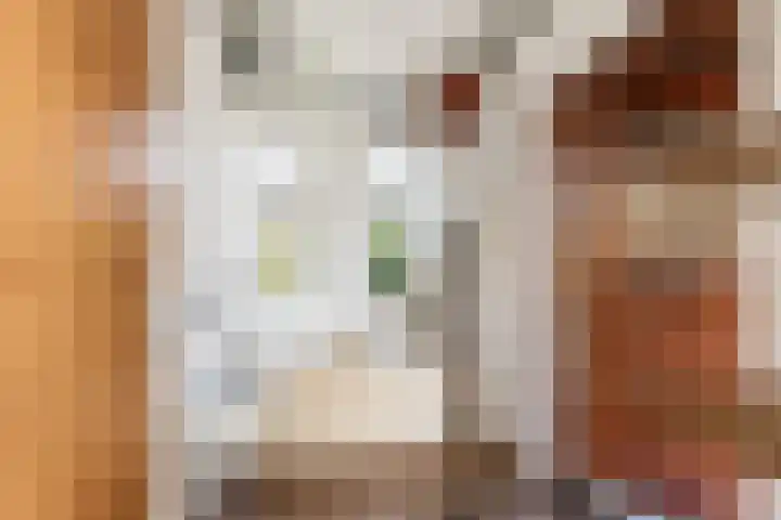 Neer Andelse weg 3 Andel thumbnail 21